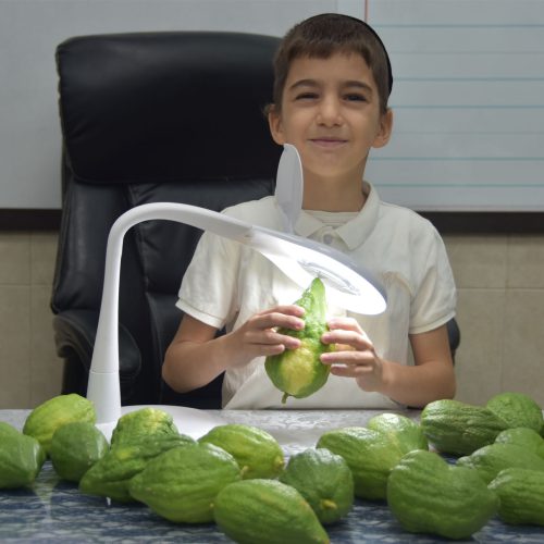 Banneryosef_0003_Layer 3